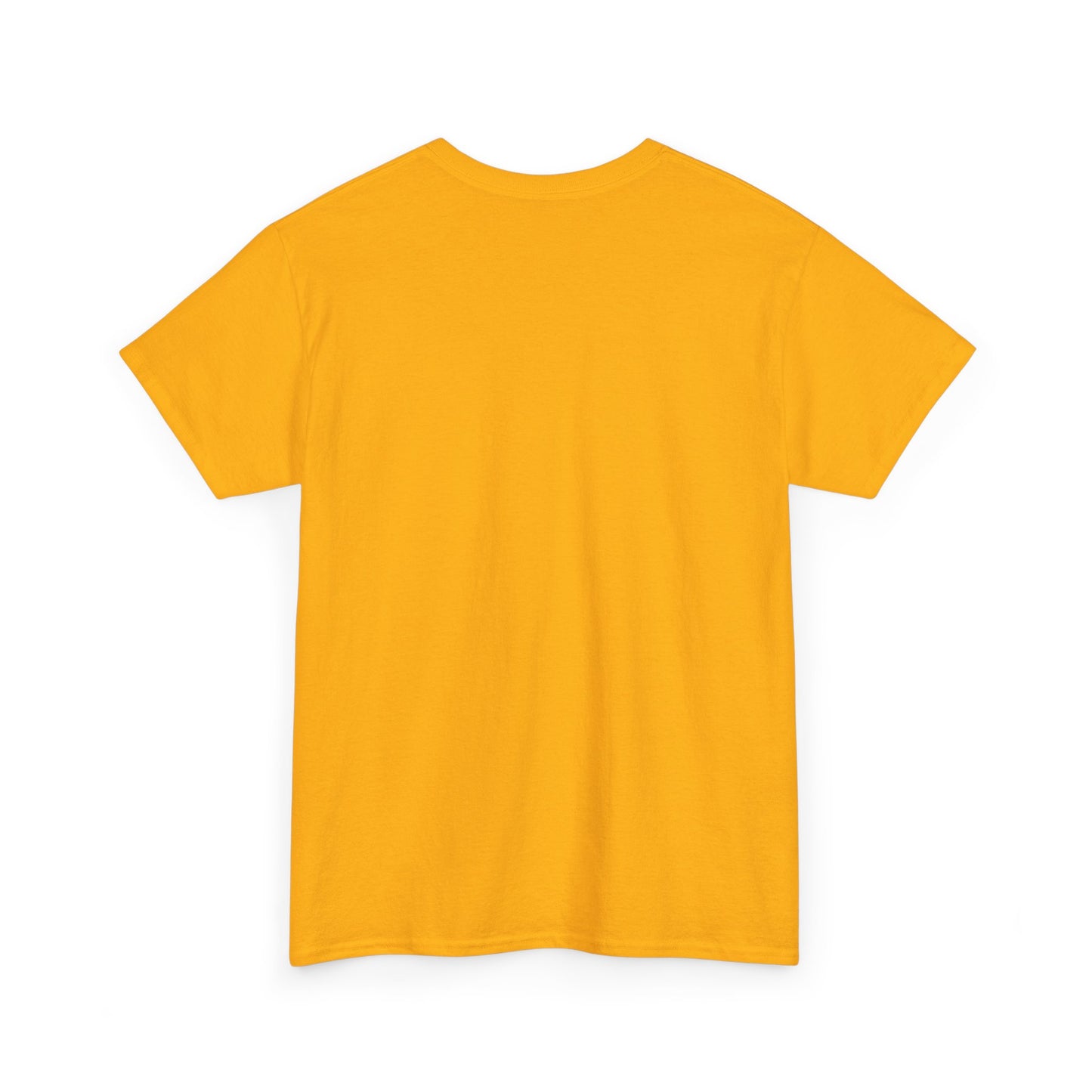 Free Plasticine Flag Colours Unisex Heavy Cotton Tee