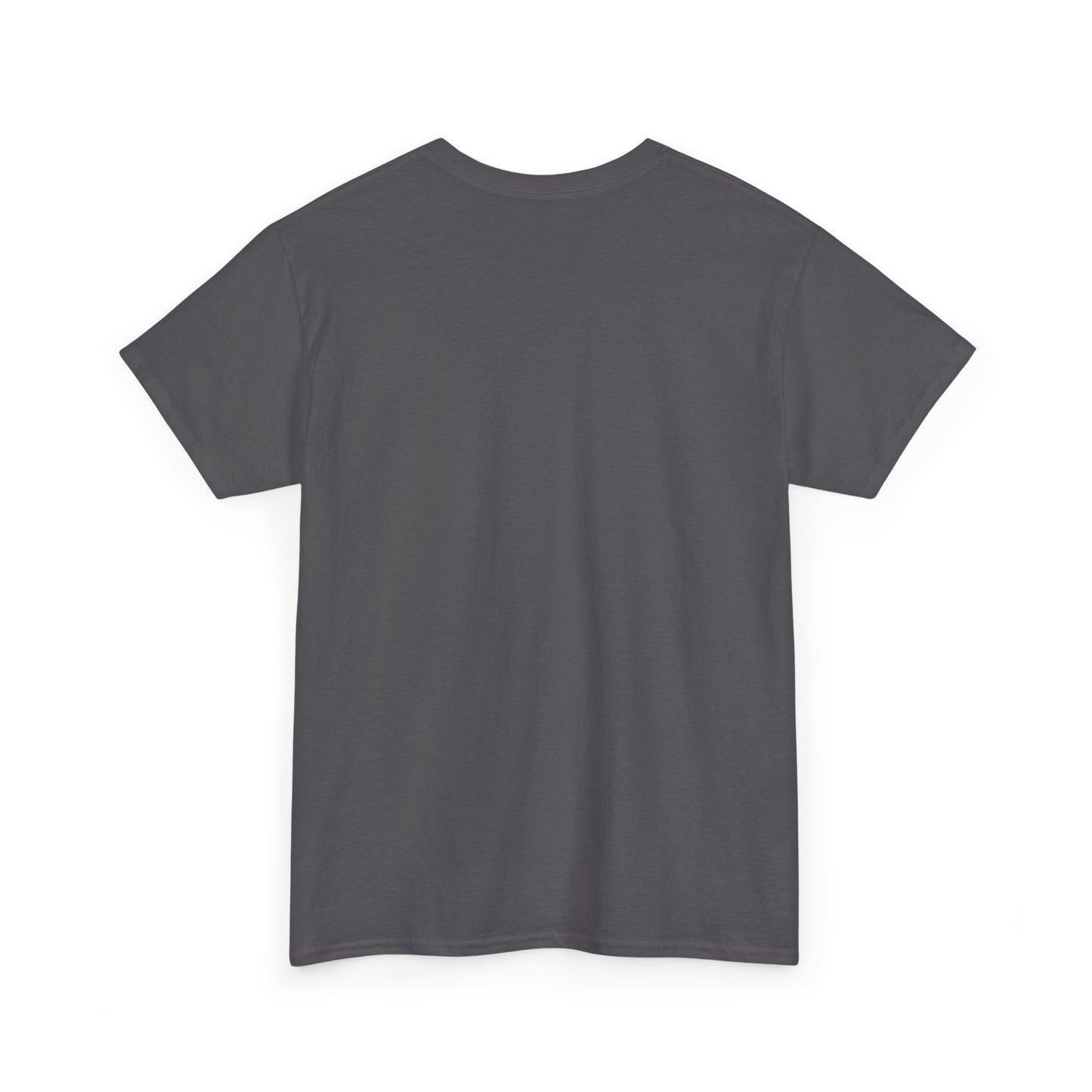 Free Plasticine Flag Colours Unisex Heavy Cotton Tee